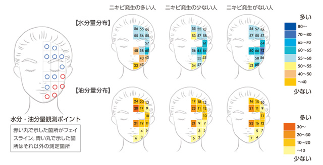 肌水分量の減少とニキビの関係図